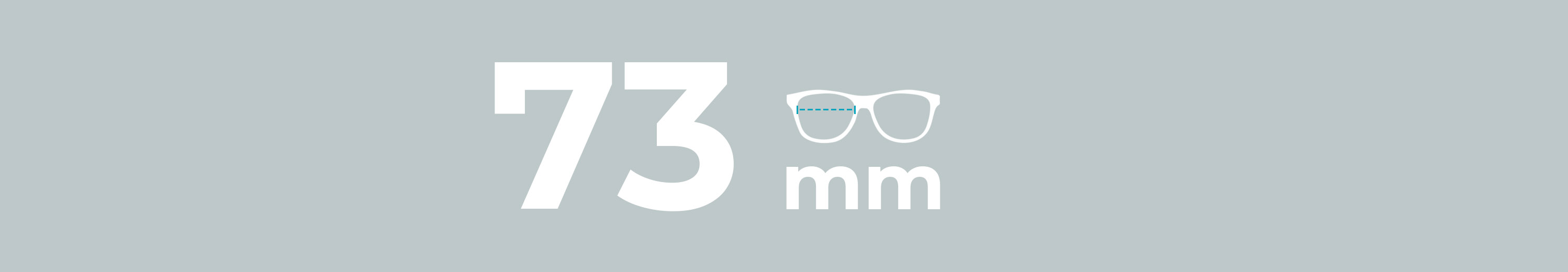 Lens Size: 73mm Glasses
