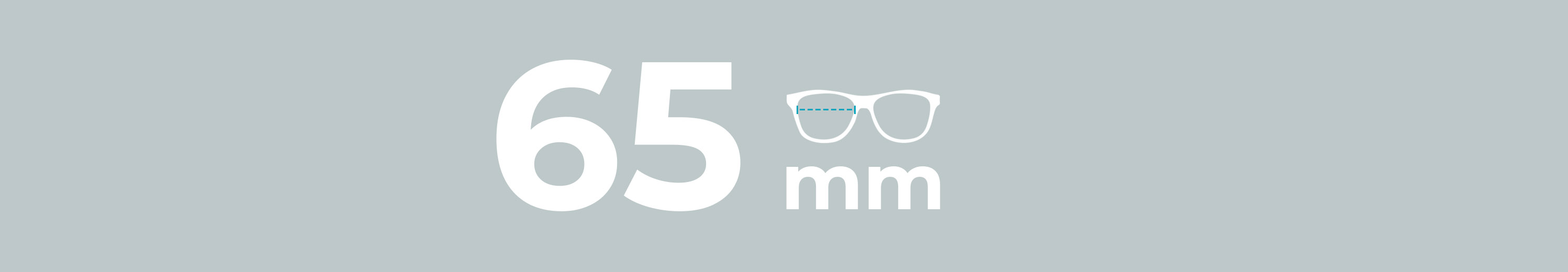 Lens Size: 65mm Glasses