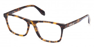 Adidas™ OR5022 053 55 - Blonde Havana