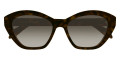 Havana / Brown Gradient
