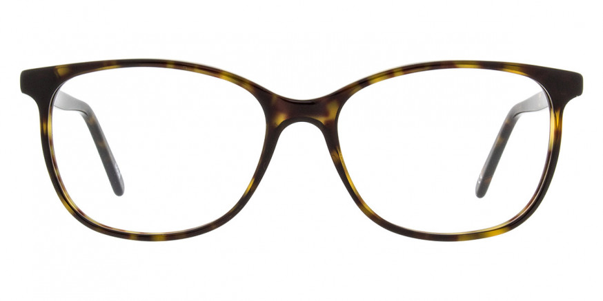 Andy Wolf™ 5079 B 52 - Brown/Yellow