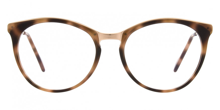 Andy Wolf™ Agam 03 52 - Brown/Rosegold