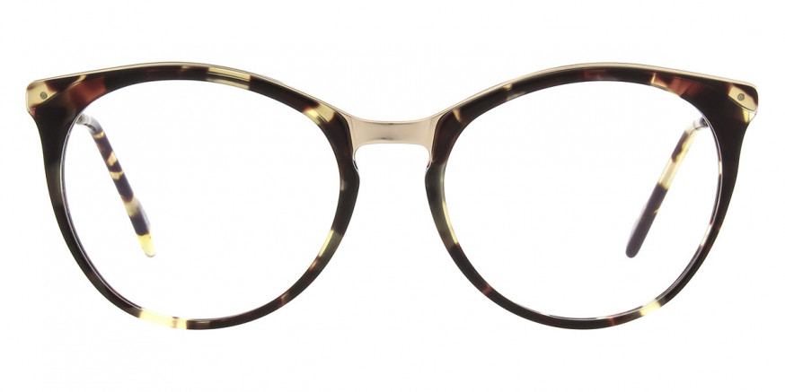 Andy Wolf™ Agam 05 52 - Brown/Gold