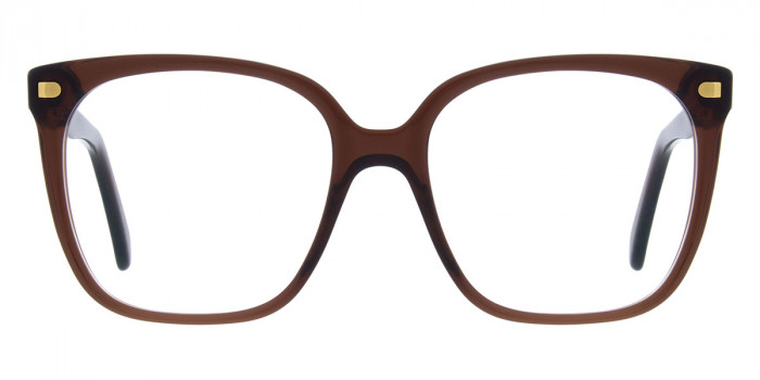 Andy Wolf™ AWE04 05 56 - Brown/Gold