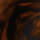 Brown 08