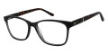 Black Tortoise