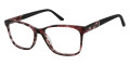 Fuchsia Tortoise Black