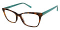 Tortoise / Mint