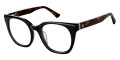 Black Tortoise
