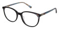 Black/Teal Tortoise