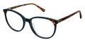 Teal Tortoise