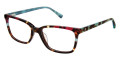 Tortoise Multicolor