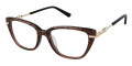 Mocha Tortoise Gradient
