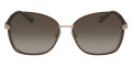 Mocha / Brown Gradient