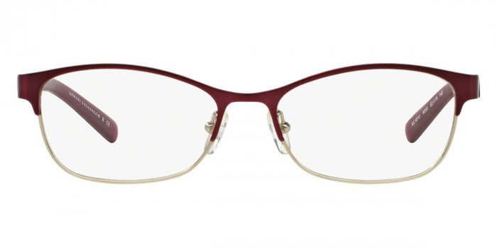 ARMANI EXCHANGE™ AX1010 6050 53 - Matte Red & Shiny Pale Gold