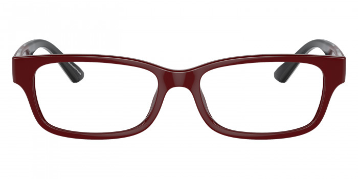 アクセサリー erika RX7046 8340 51 Ray-Ban ERIKA エリカ セル ボストン | 商品検索