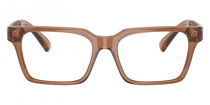 ARMANI EXCHANGE™ AX3122F 8358 54 - Shiny Transparent Brown