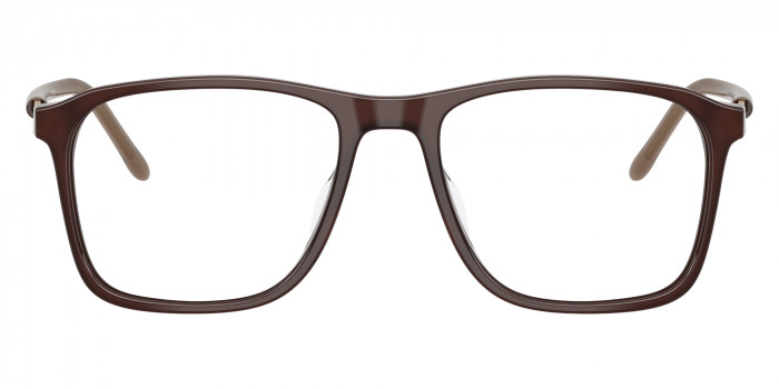 ARMANI EXCHANGE™ AX3131F 8396 54 - Opaline Brown