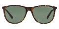 Matte Havana / Green