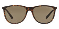 Matte Havana / Brown