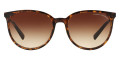 Shiny Havana / Gradient Brown