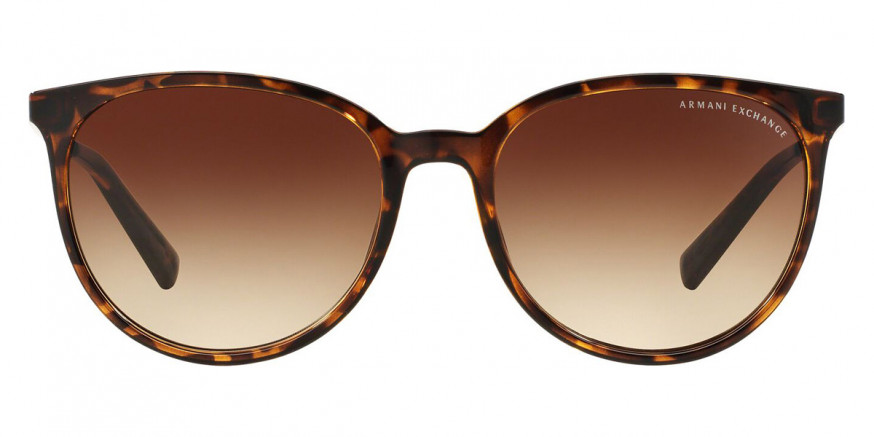 Color: Shiny Havana (803713) - Armani Exchange AX4048SF80371356