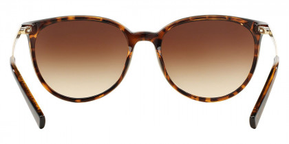 Color: Shiny Havana (803713) - Armani Exchange AX4048SF80371356