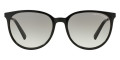 Shiny Black / Gradient Gray