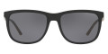 Shiny Black / Gray Polarized