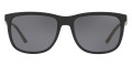 Shiny Black / Gray Polarized