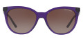 Transparent Purple / Brown Gradient