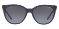 Transparent Blue / Gray Gradient