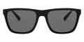 Shiny Black / Gray Polarized