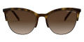 Havana / Brown Gradient