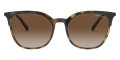 Shiny & Matte Havana / Gradient Brown