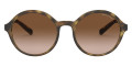 Shiny Havana / Gradient Brown