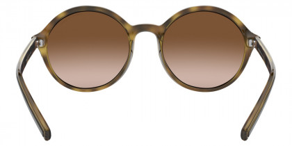 Color: Shiny Havana (803713) - Armani Exchange AX4101S80371355