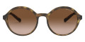Shiny Havana / Gradient Brown