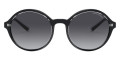 Shiny Black / Gradient Gray