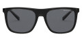 Shiny Black / Gray