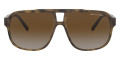 Matte Havana / Gradient Brown Polarized