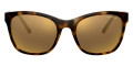 Shiny Havana / Mirrored Gold