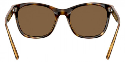 Color: Shiny Havana (82135A) - Armani Exchange AX4105S82135A54