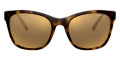 Shiny Havana / Mirrored Gold