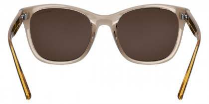 Color: Shiny Tundra (8271F9) - Armani Exchange AX4105SF8271F954