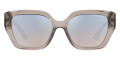 Shiny Transparent Tundra / Brown Mirrored Silver Gradient