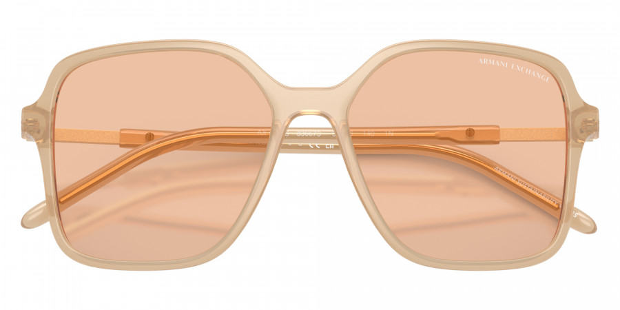 ARMANI EXCHANGE™ - AX4163S