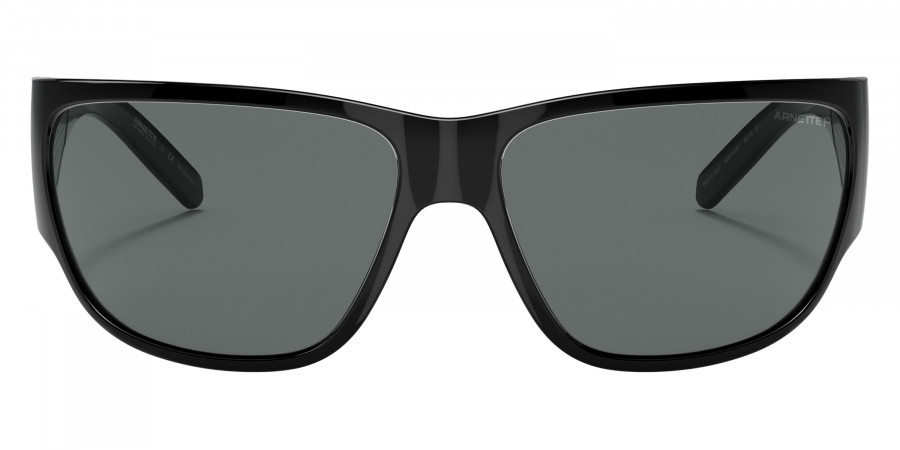 Arnette™ - AN4280 Wolflight
