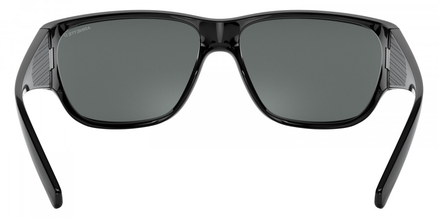 Arnette™ - AN4280 Wolflight