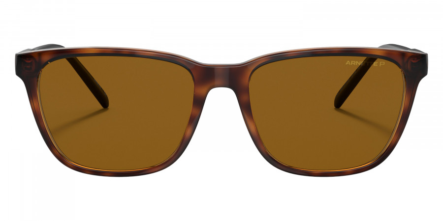 Arnette™ - AN4291 Cortex